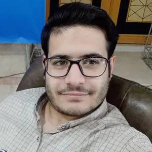 Sadegh profile photo - Platute tutor